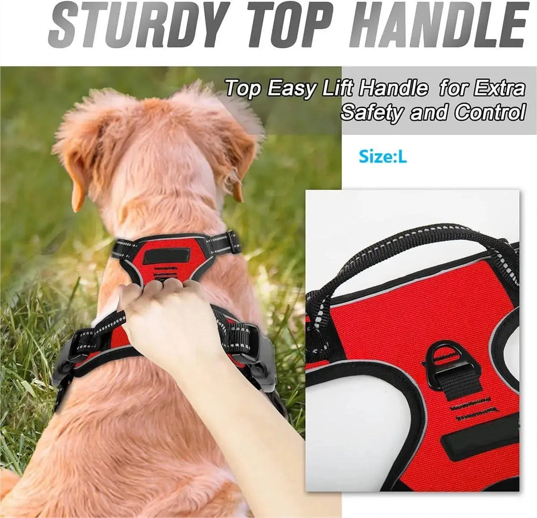 Dog Collars Harness Big Vests Leash Pet Shop Everything for Dogs Leather Puppy