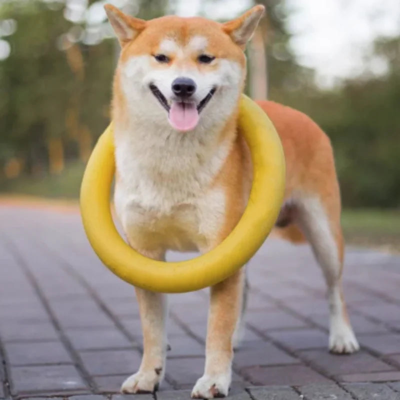 Dog Ring Toys Indestructible Chewing Flying Floating Training Tools Fetch