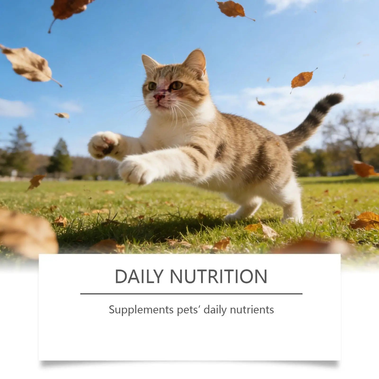 Pet Supplements 200g Daily Nutrition Cats Wet Or Dry Food Supplements